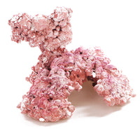 c0783bcb30c9889016821cc335797c5c