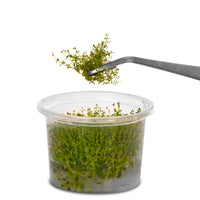 28b34ac884fc928c130544042e69995f