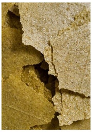 6c081d58ab7d66eb0adb865623dd128f