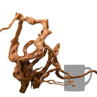 c291aa031947dfdc74467b2e032146a5