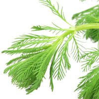 9d483c6d4aedee86d339691f38dfba7e