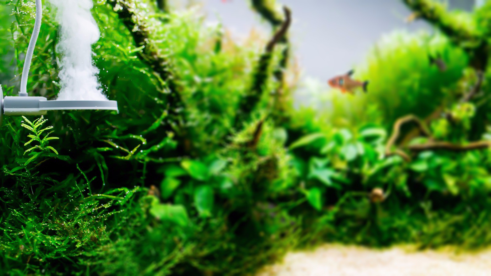 3fa7d9d9a794fed977297aea155d400a