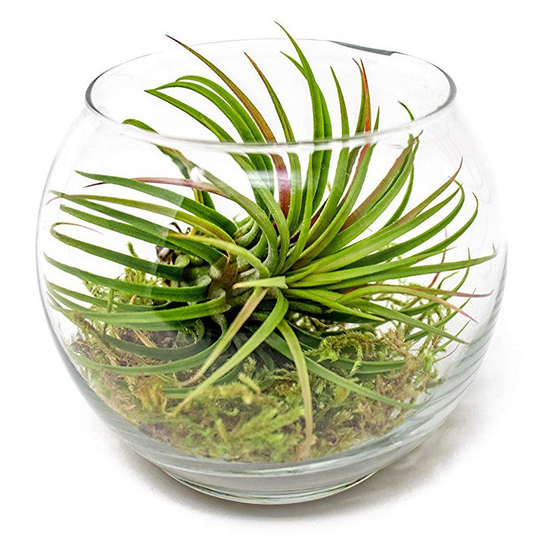 1f6a231c71f3883977a5ed7079ea48a7