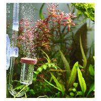 1083fce9864c487e4d39f03537263885