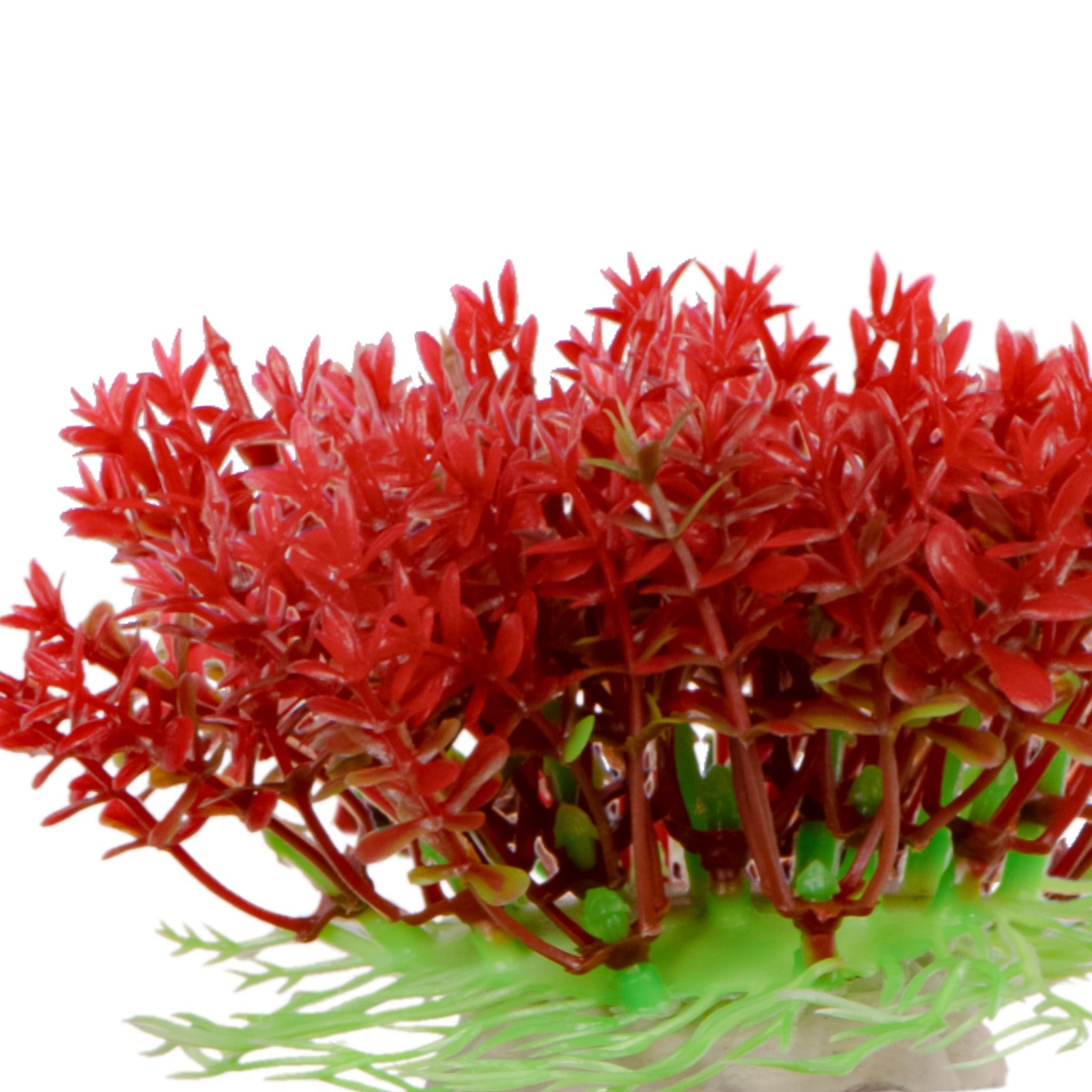 a8cc13ce4d579c23054bc8e5290f0838