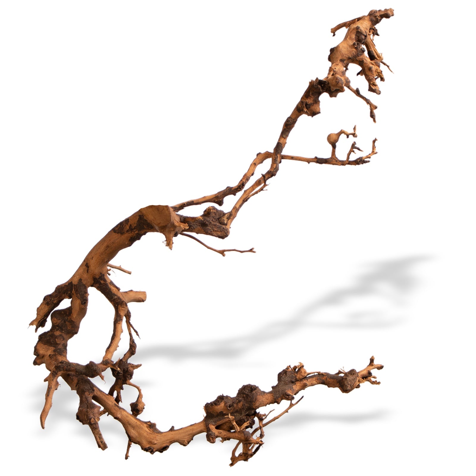 caacf141ed23e882eb3fcb2b5d653ac2