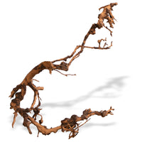 caacf141ed23e882eb3fcb2b5d653ac2