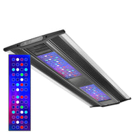 5978bd4be6b0463dca4222ffb4c69de0