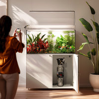 55b7b161913776404e5344d5b21043ee