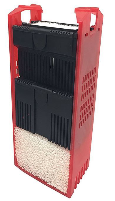 d6613b04224c24818971925fe22b3938