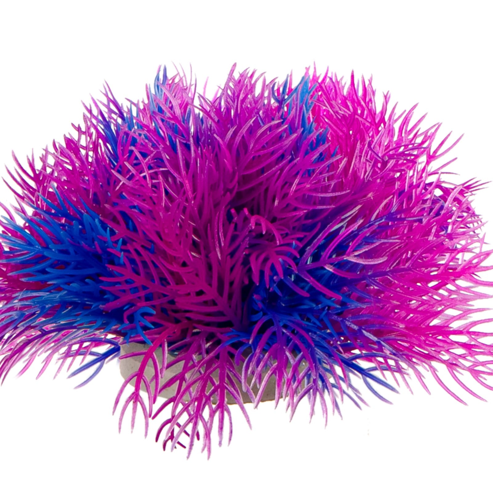 1bc8d084f318f5794ecc762e533a7630