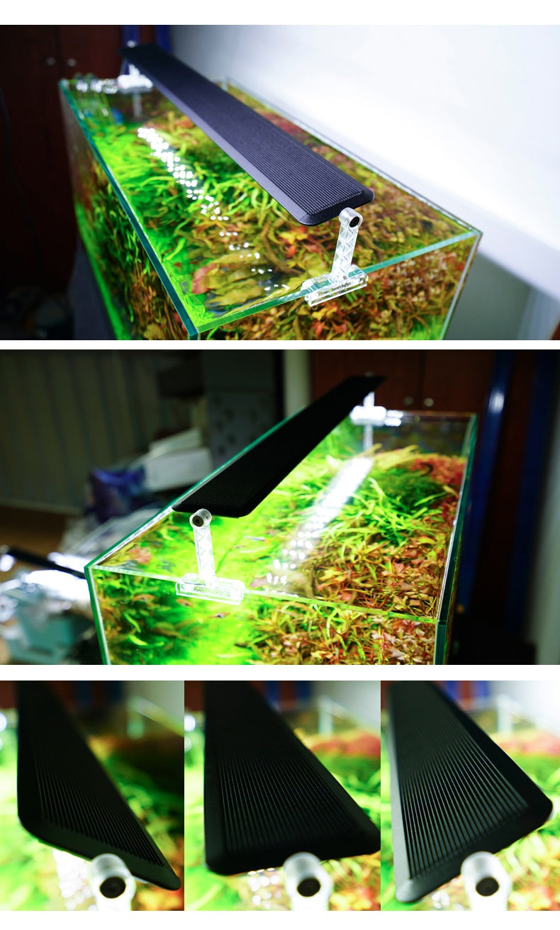 f3e903d15941488ec7d4ca71dda3bdfa