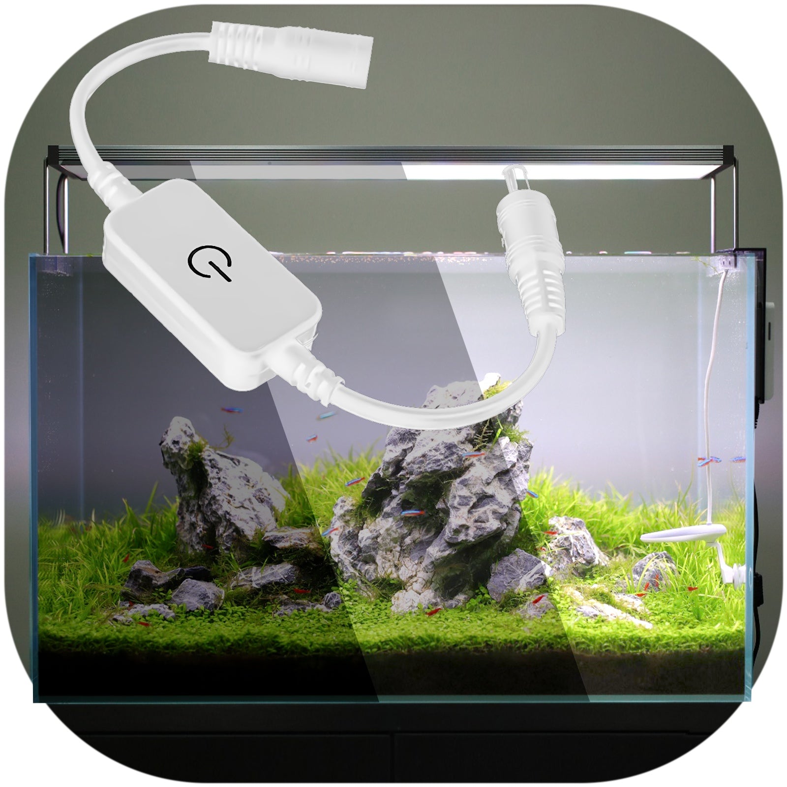 65f7b8d26d79f1924cf27e1d7b69e875