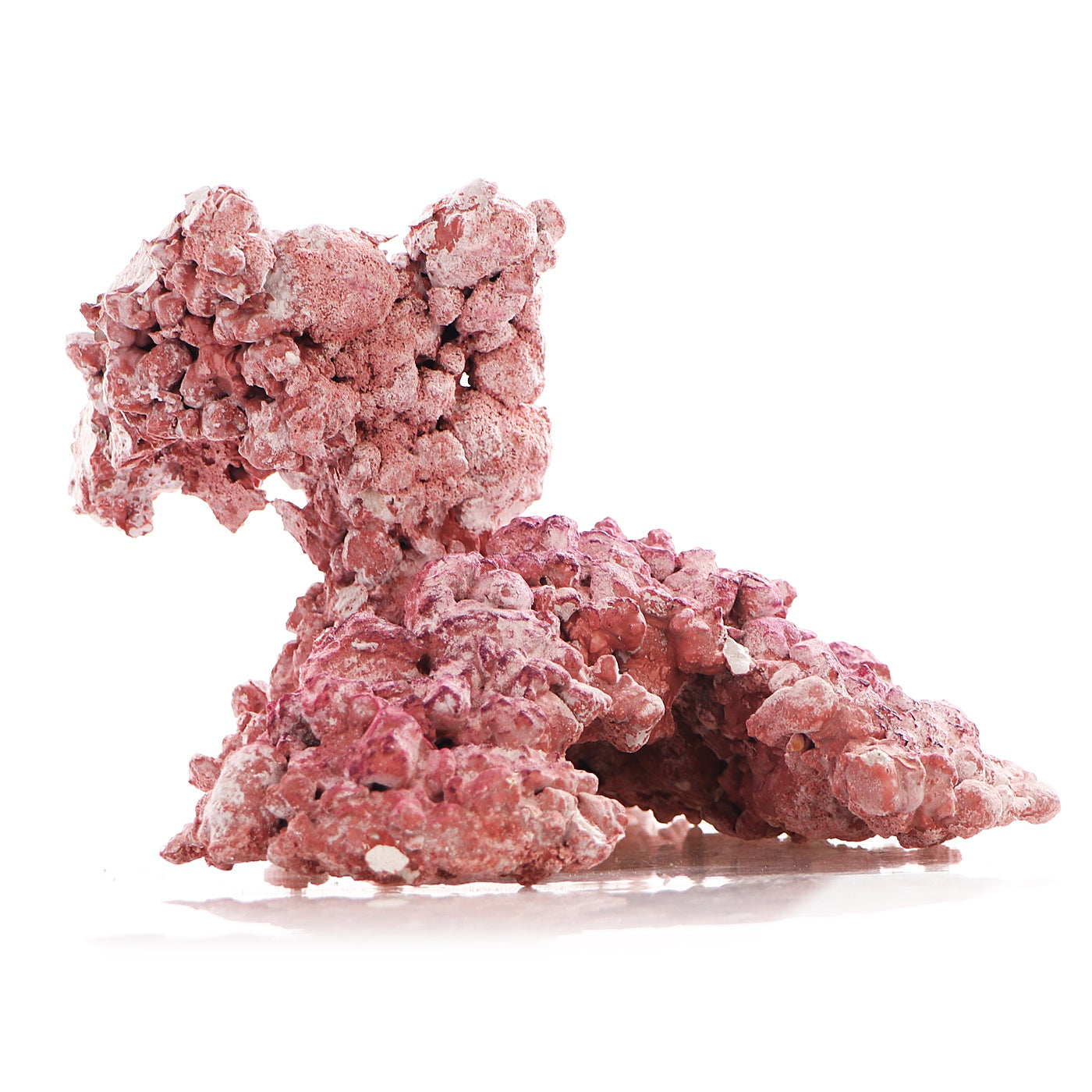 abd7e7fe76a37ebcfc88fd99883943ef