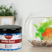 65567bf2e00921993638b3cfb0a3300d