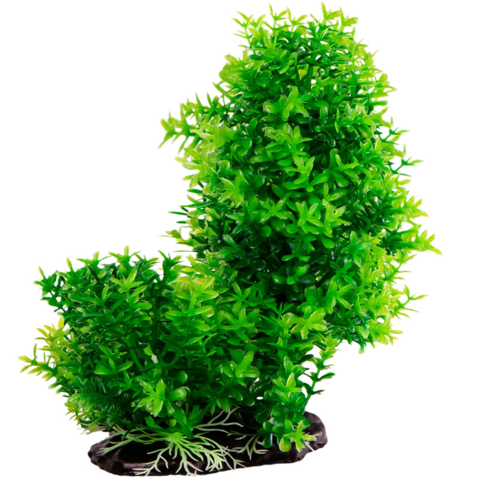 ae2cbe812a33f46aef1e754e901d67ad