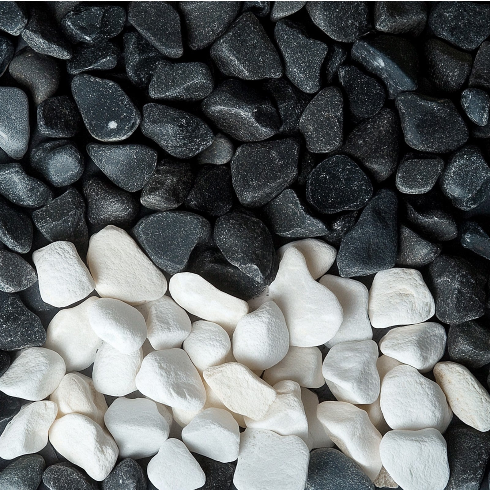 1aa8743f8bf00935526f66dfe145db44