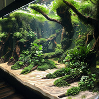 00bf1b2f8aed69c0c1d983e66518a8c6