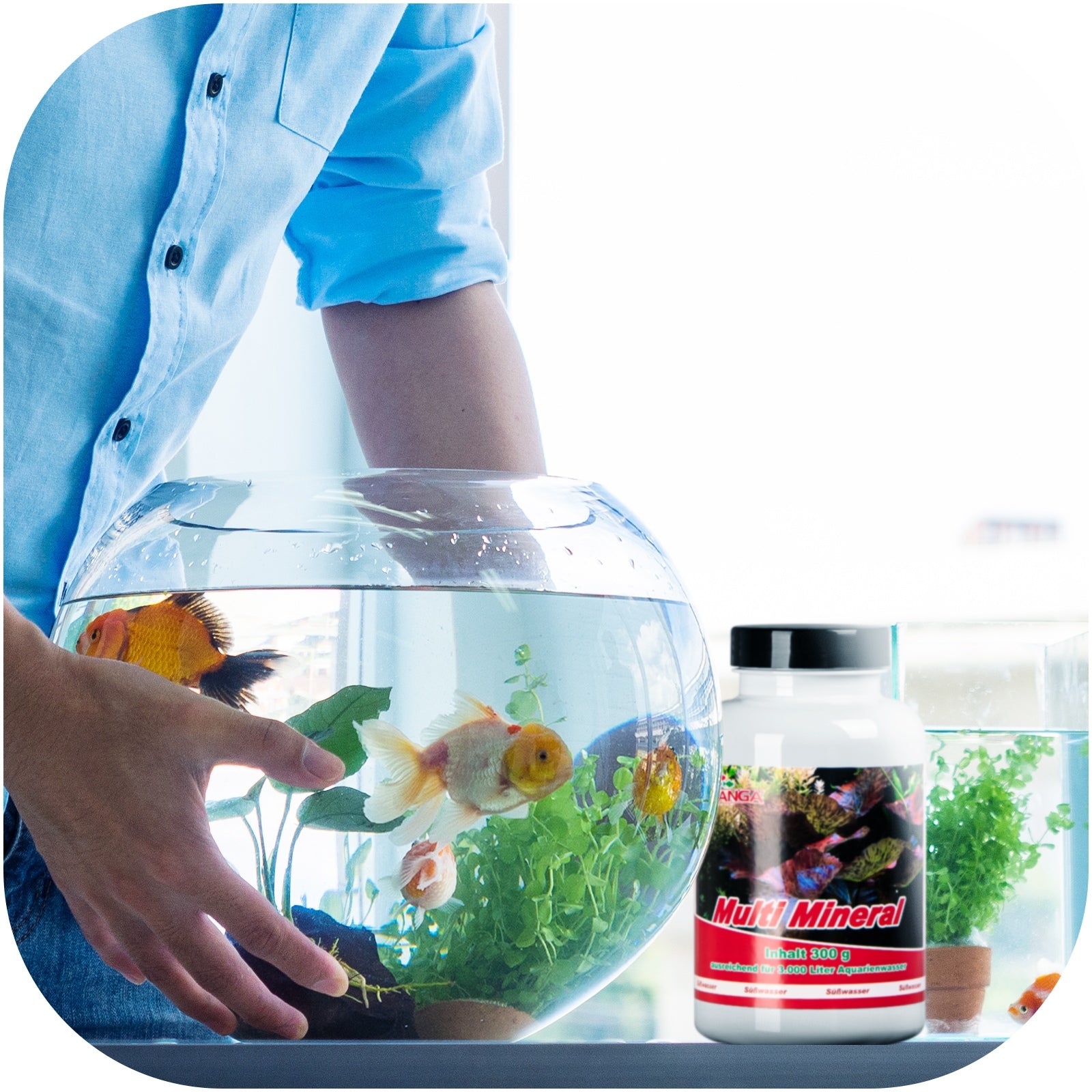 23794dd12aac6acbf2cf47b2ed7790cd