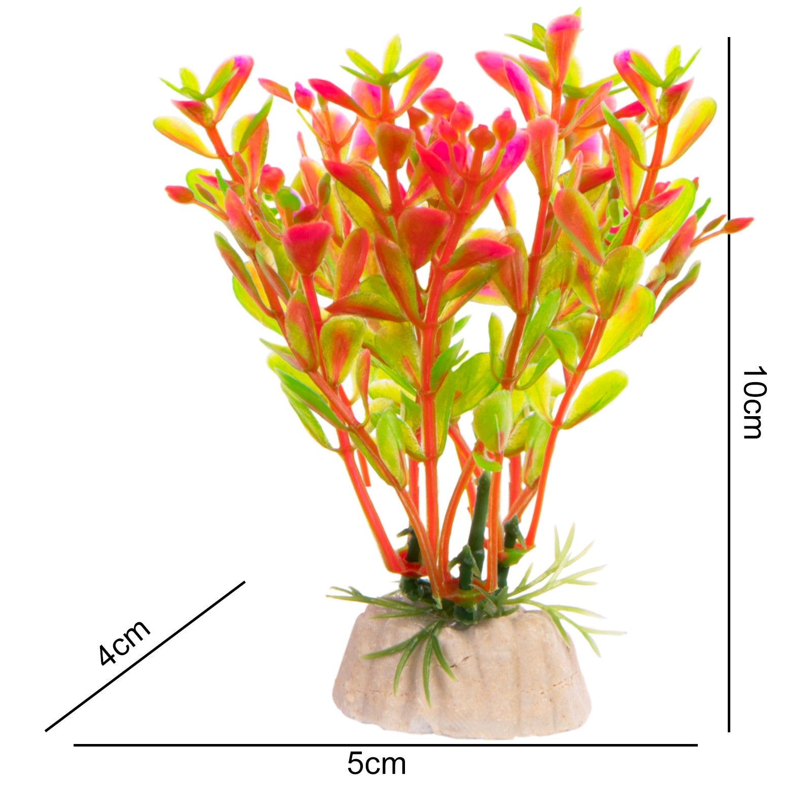 af2a48595ae51c94fc68492f9de691ad