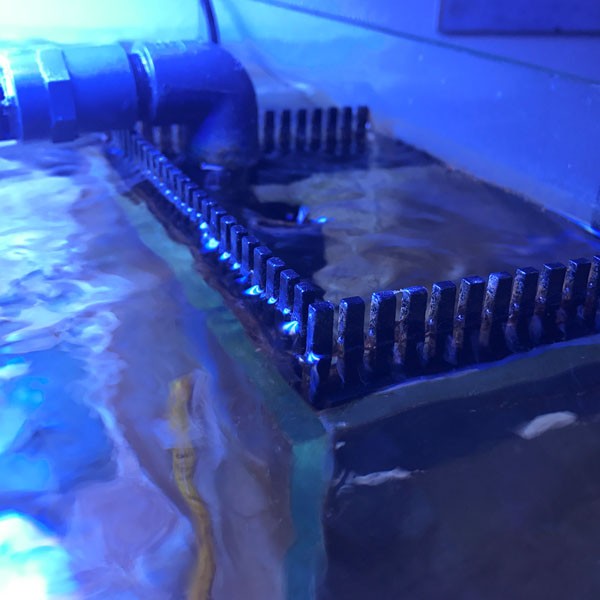 31a0a8b81a6163c004b366afd32d00e5