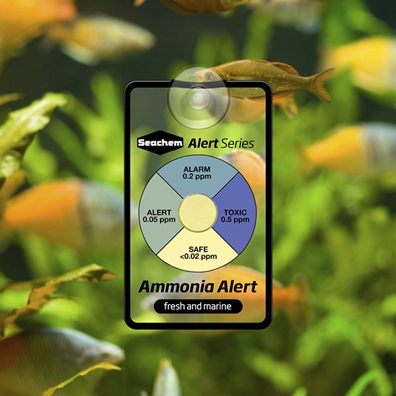 14108fb051203e59b010287228fc11eb