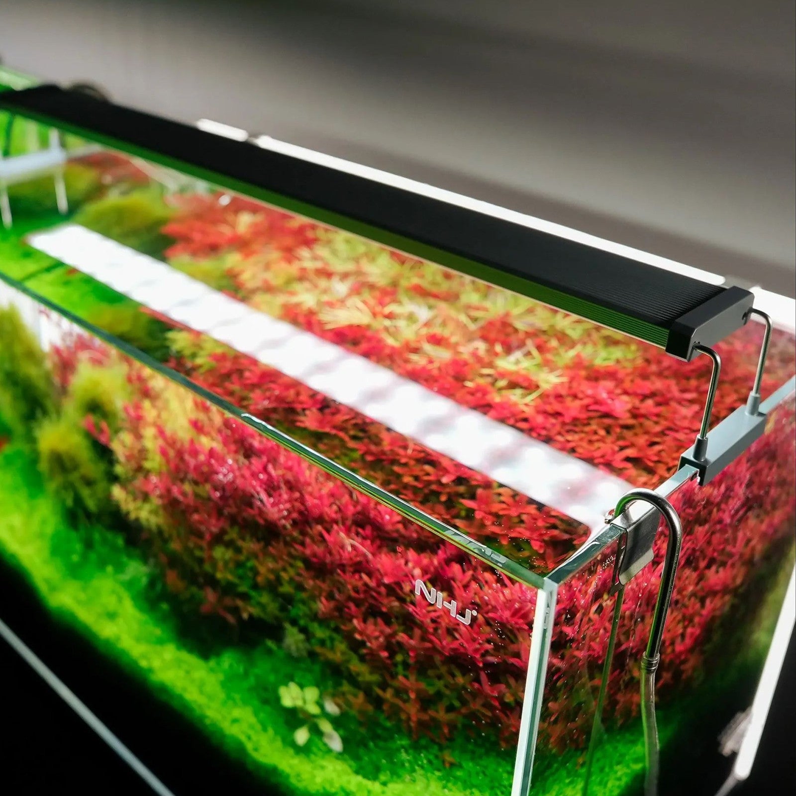 84a38f174b30654818b118c26f6903e6