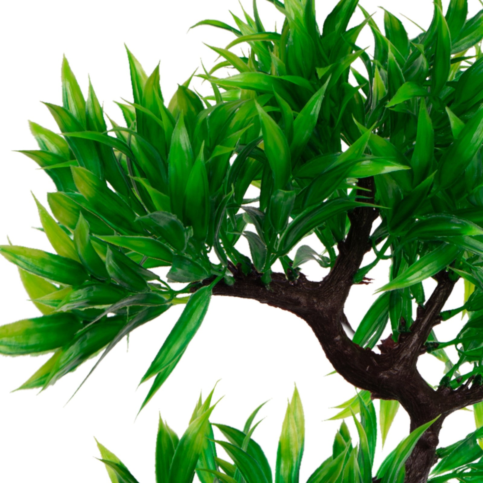 59d6ff24be7f5cd1afa06a912e0ccb8f