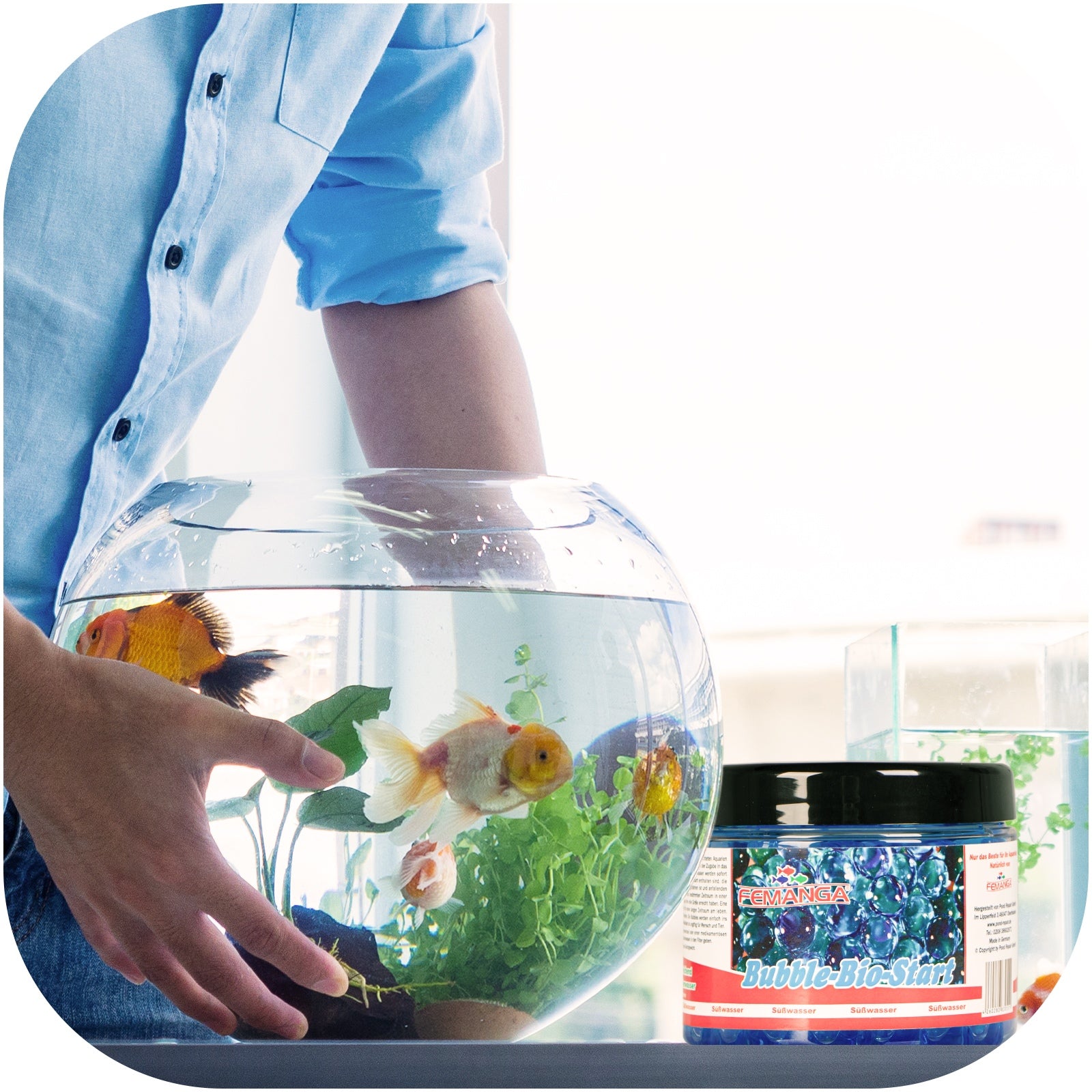 2f7dc42c471c257c321b0ca0a7aafe88