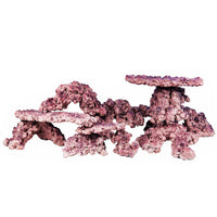 9e8fe0f90500b2c4889308f8c40dc569