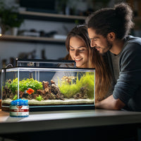 03068046bf6f52c82b4cf482e673622c