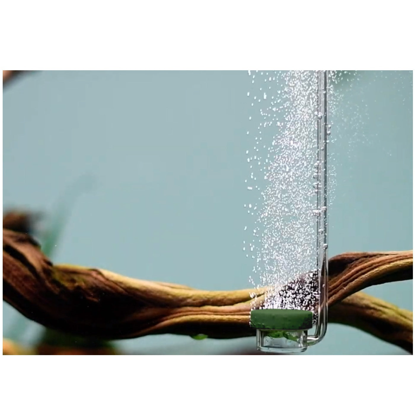 39033bb3a3bd804dcee0baa03ca7ea46