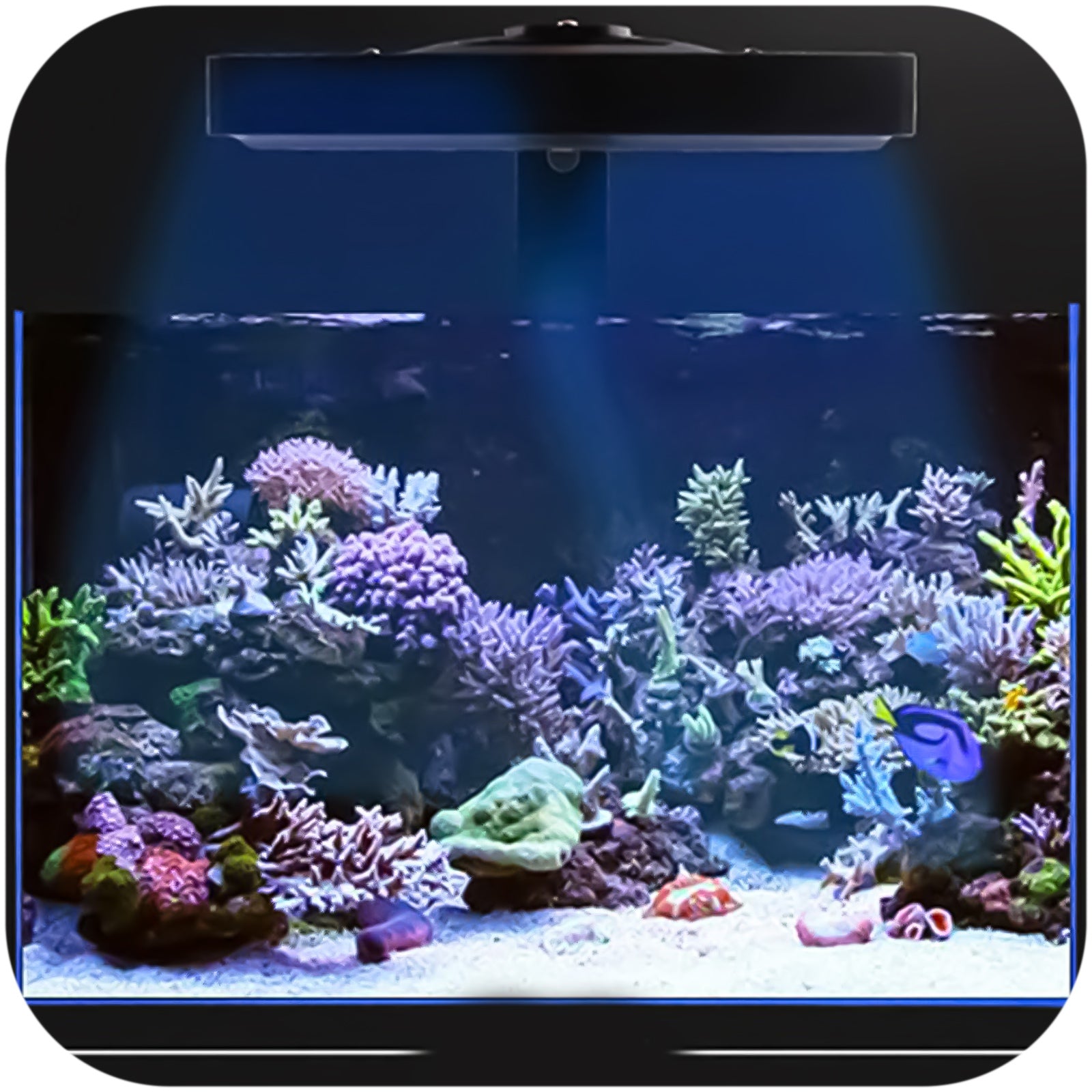 4d7fa7a52791d838f76db023cf457bbe