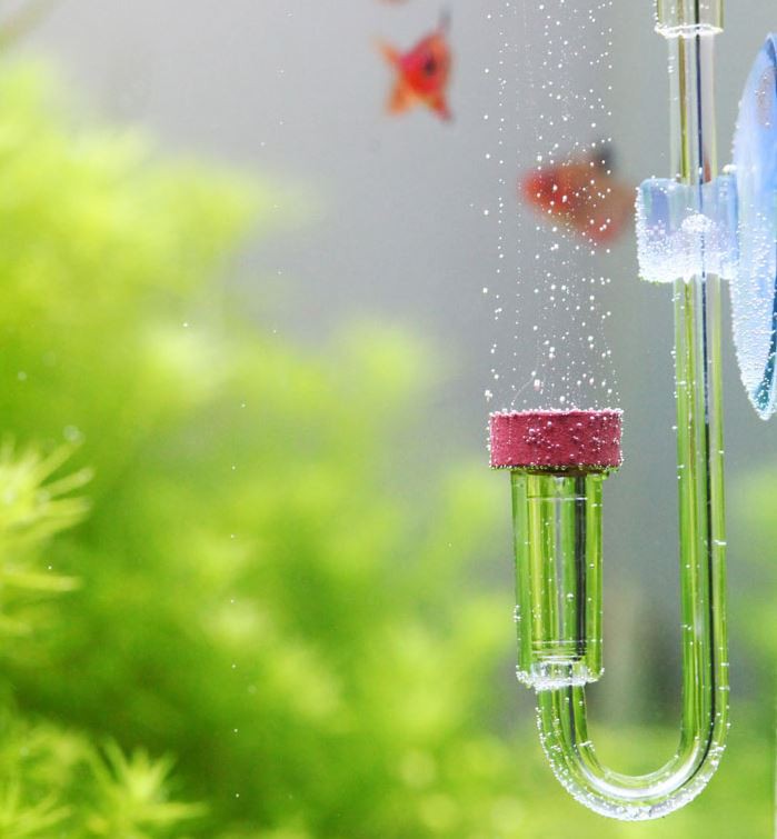 591a38ece719f6ca5f192cd07c5cbef0