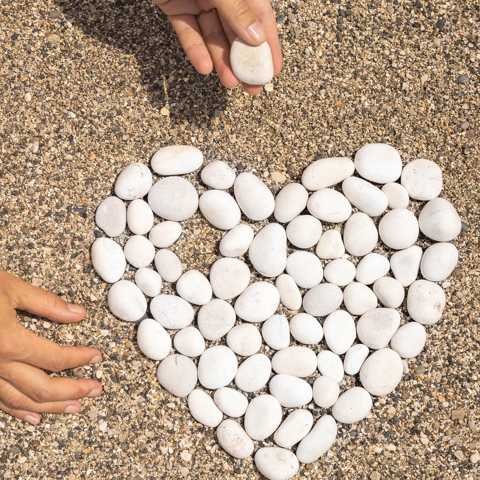 0fb39fd91c228f21e2c4b74e9a7e939a