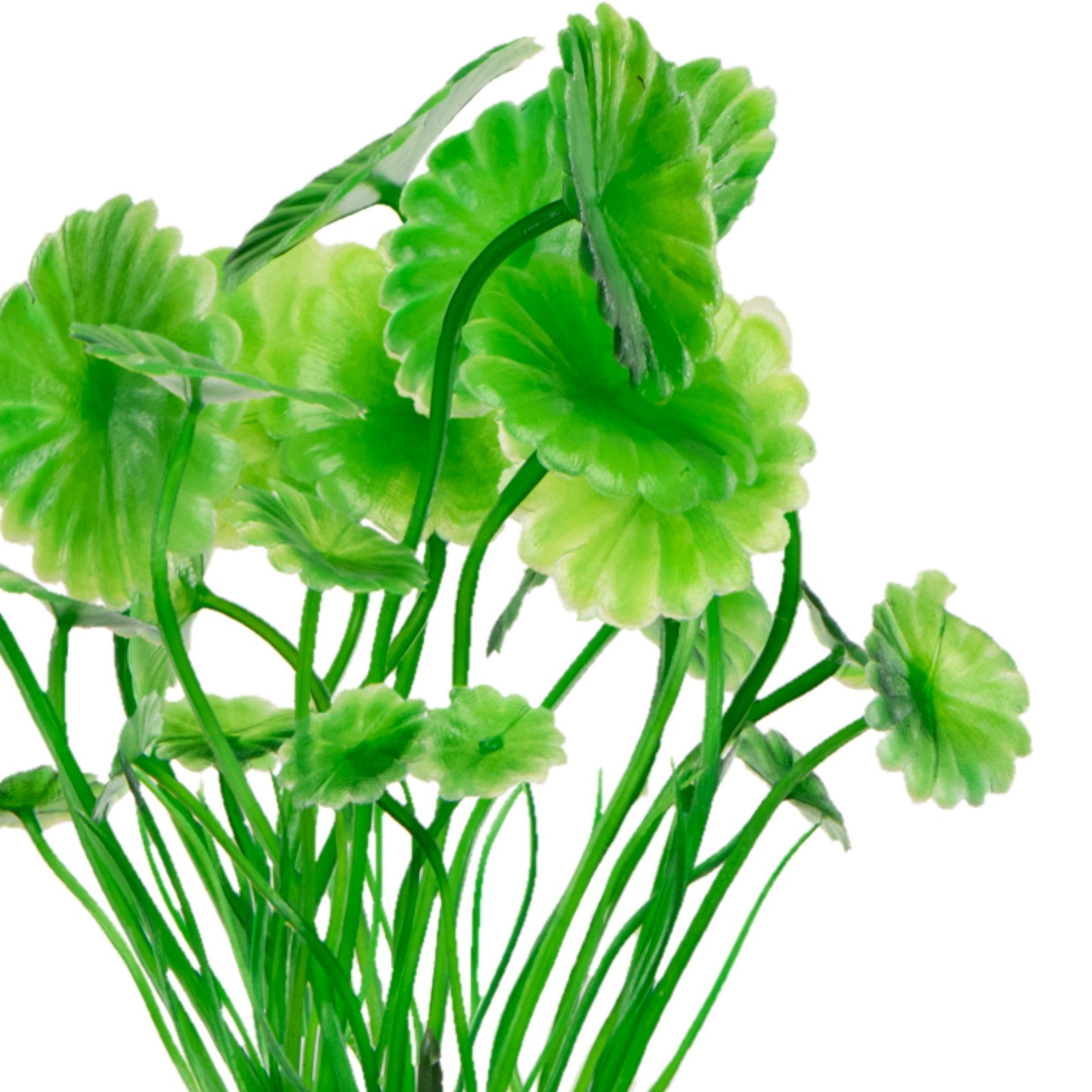 a964a4a8a222865ac13b6dbc5f527634