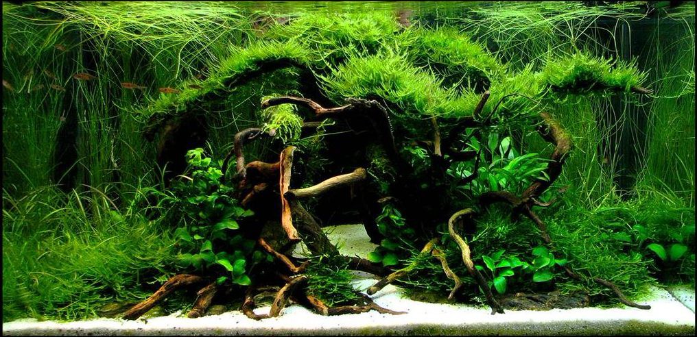 29c91ad6993b5dbefdfd20e0819d8881