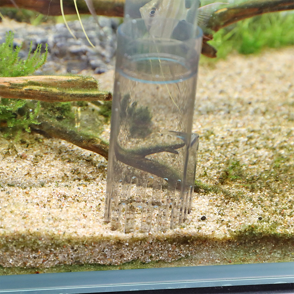 000236bfe0923d4882b3ec26448d0ff5