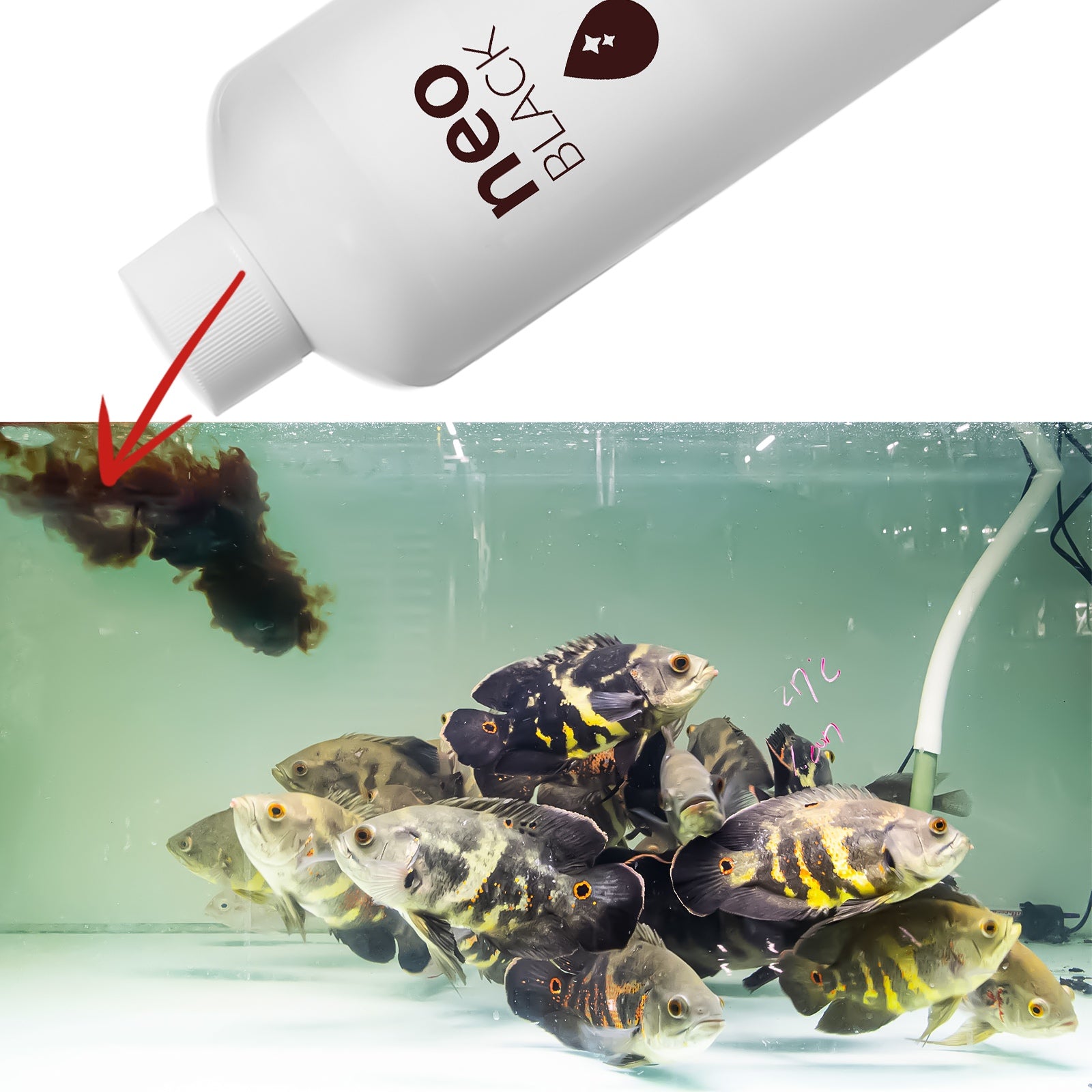 c082e9a6e516b05cdbeca46cf089a5f2