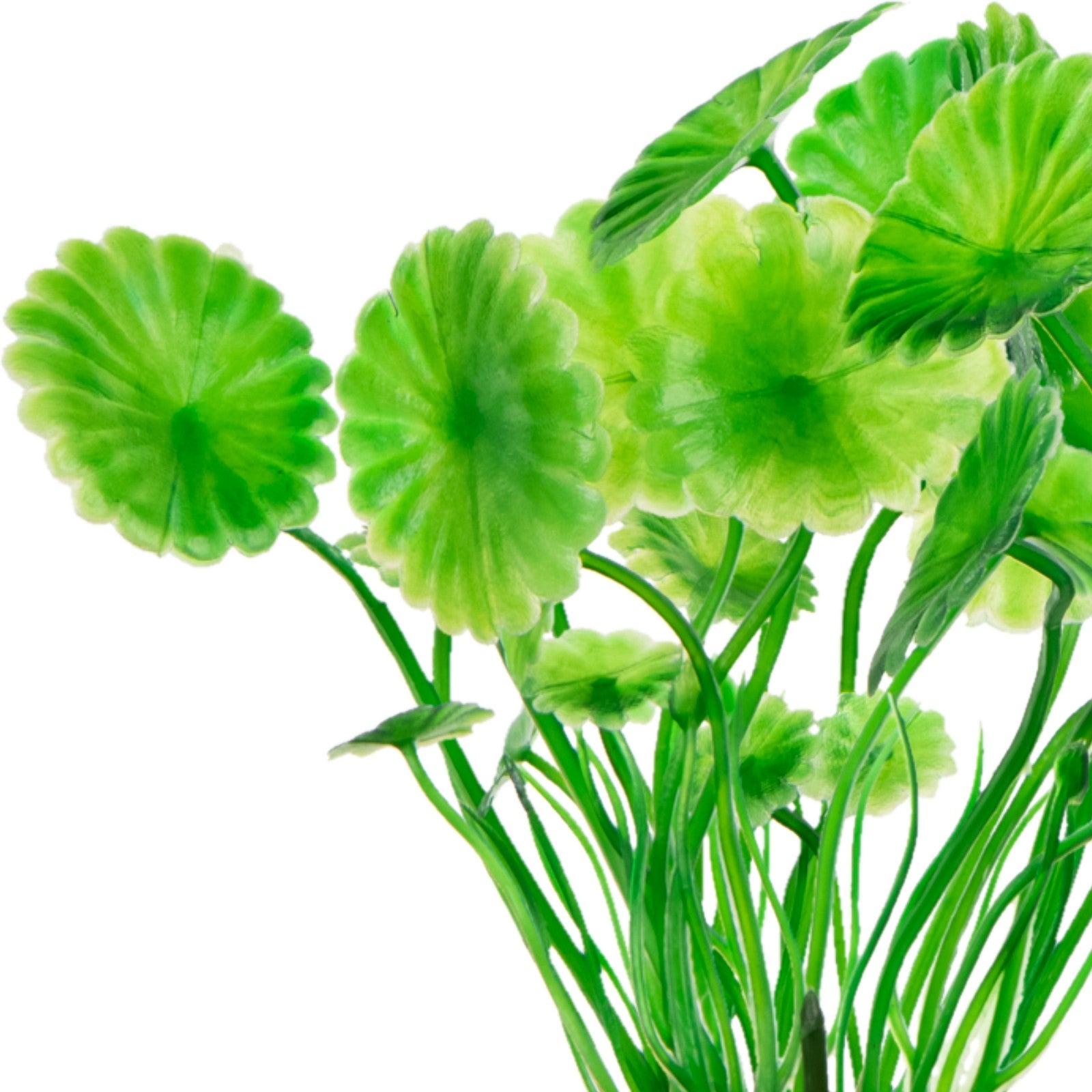 6c5dc260f79544e085f15a1f30a6f48c