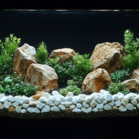 29b9a53783739e267e39c1aae9322048