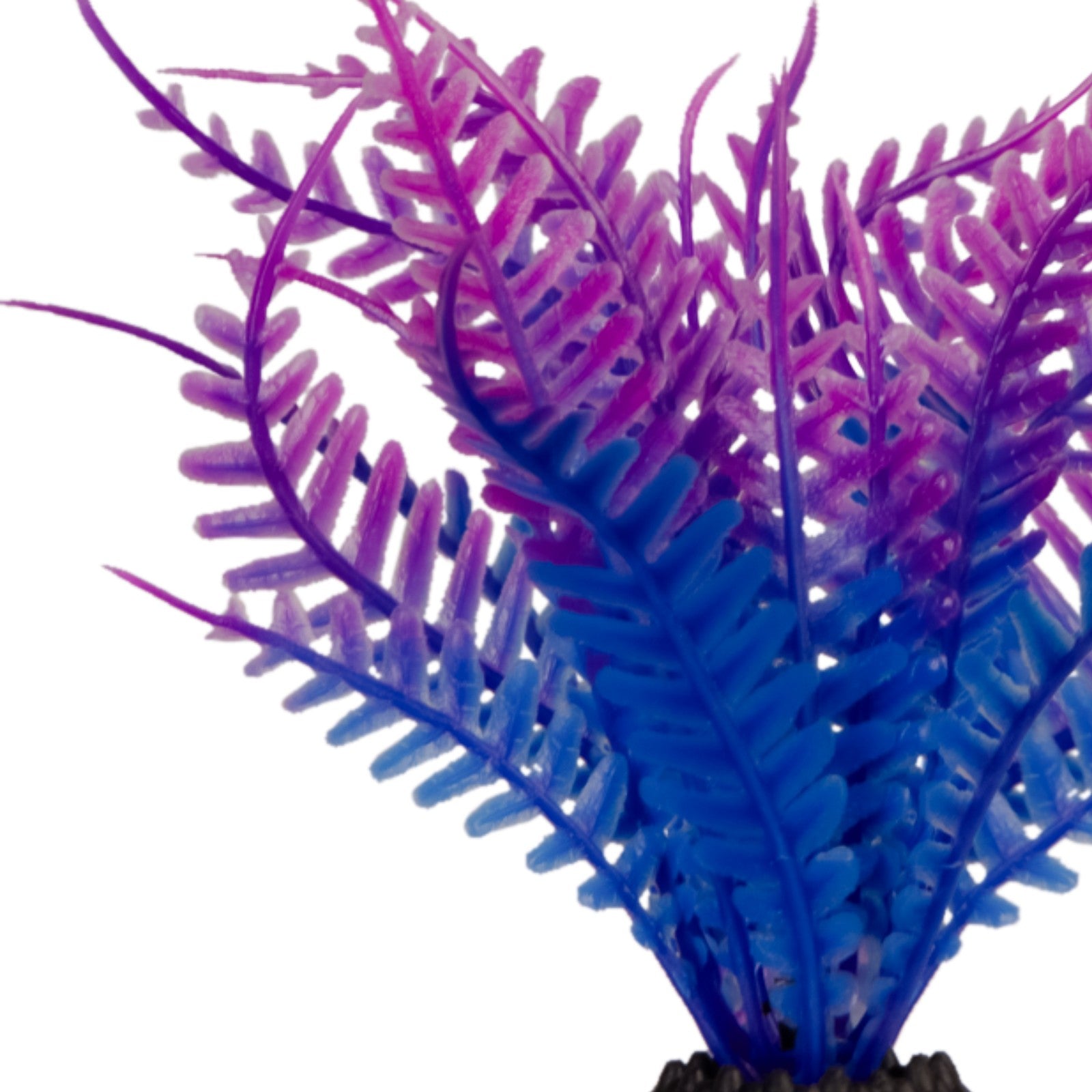 84b59dc381bc473be586c04bf5061e9f