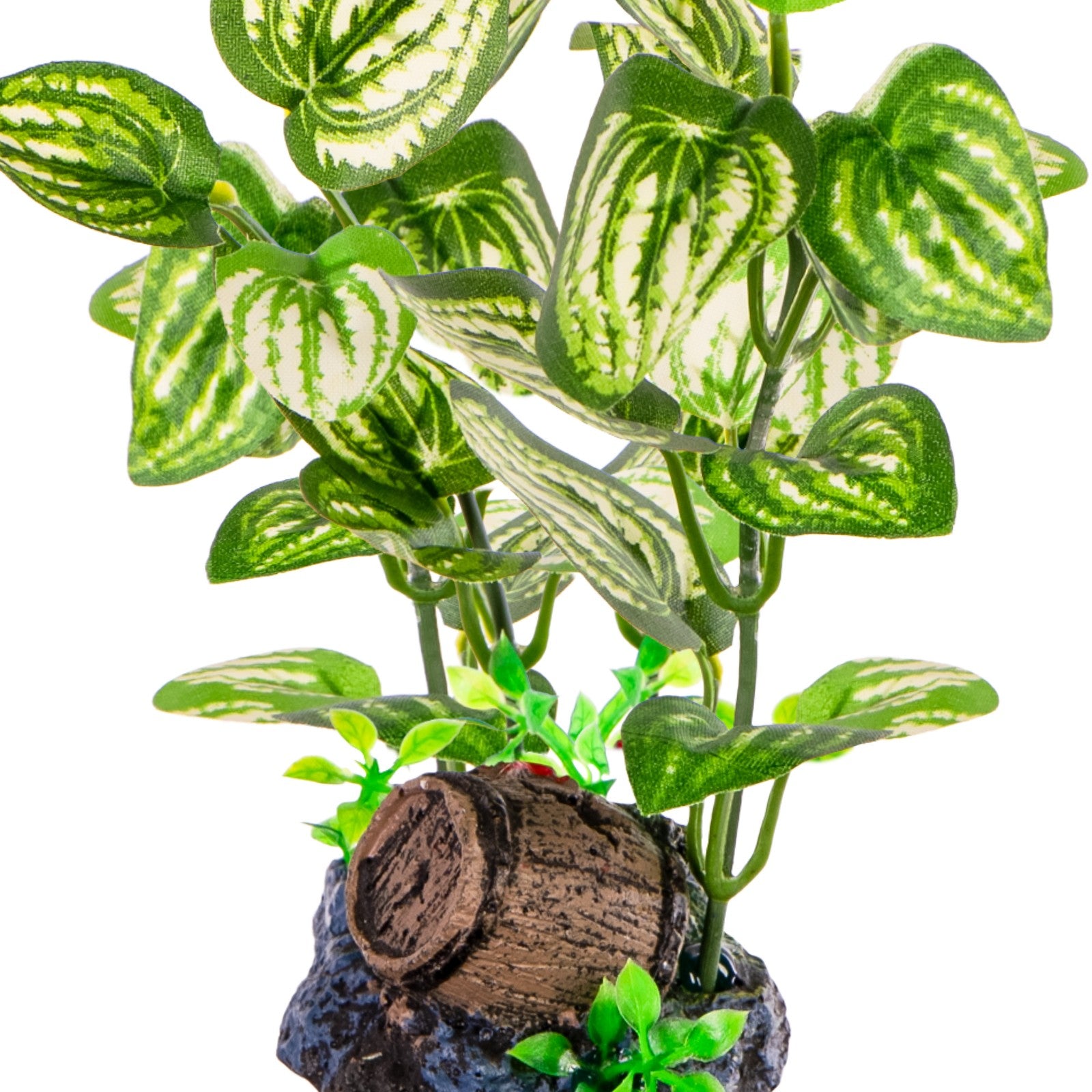 544fe341d56701bee815ea2bace28db0