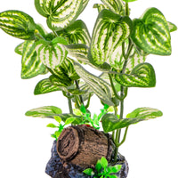 544fe341d56701bee815ea2bace28db0