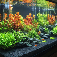 62a4966b13c8c2fb52b0141edfe10ecc