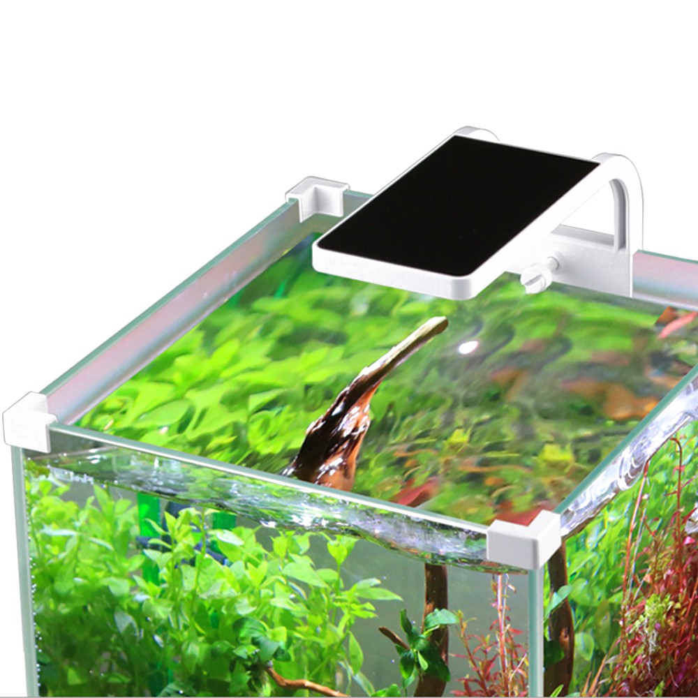 3a56232b72aef0f65fae0bb735b09bc6