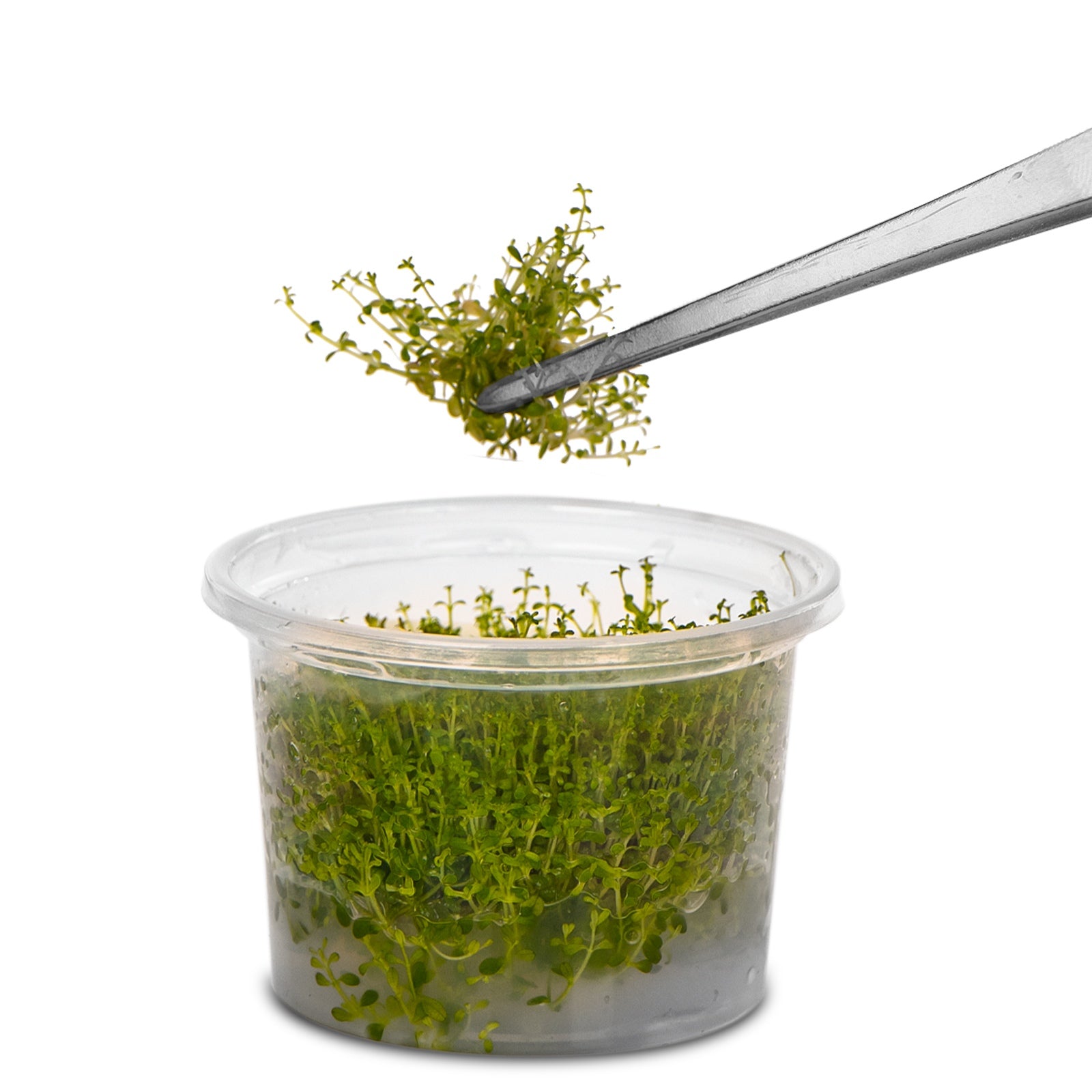 46570acfc12e9cca7053fae20e1b8a84