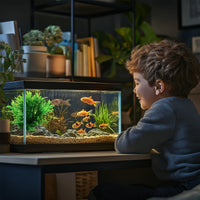 c0815b8e552f5da1596da1771b72e94e