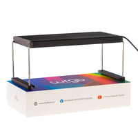 7437a7f6e356d607a4970265c7062605