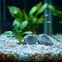 86121d230ee53983d5fe2bd76850d751